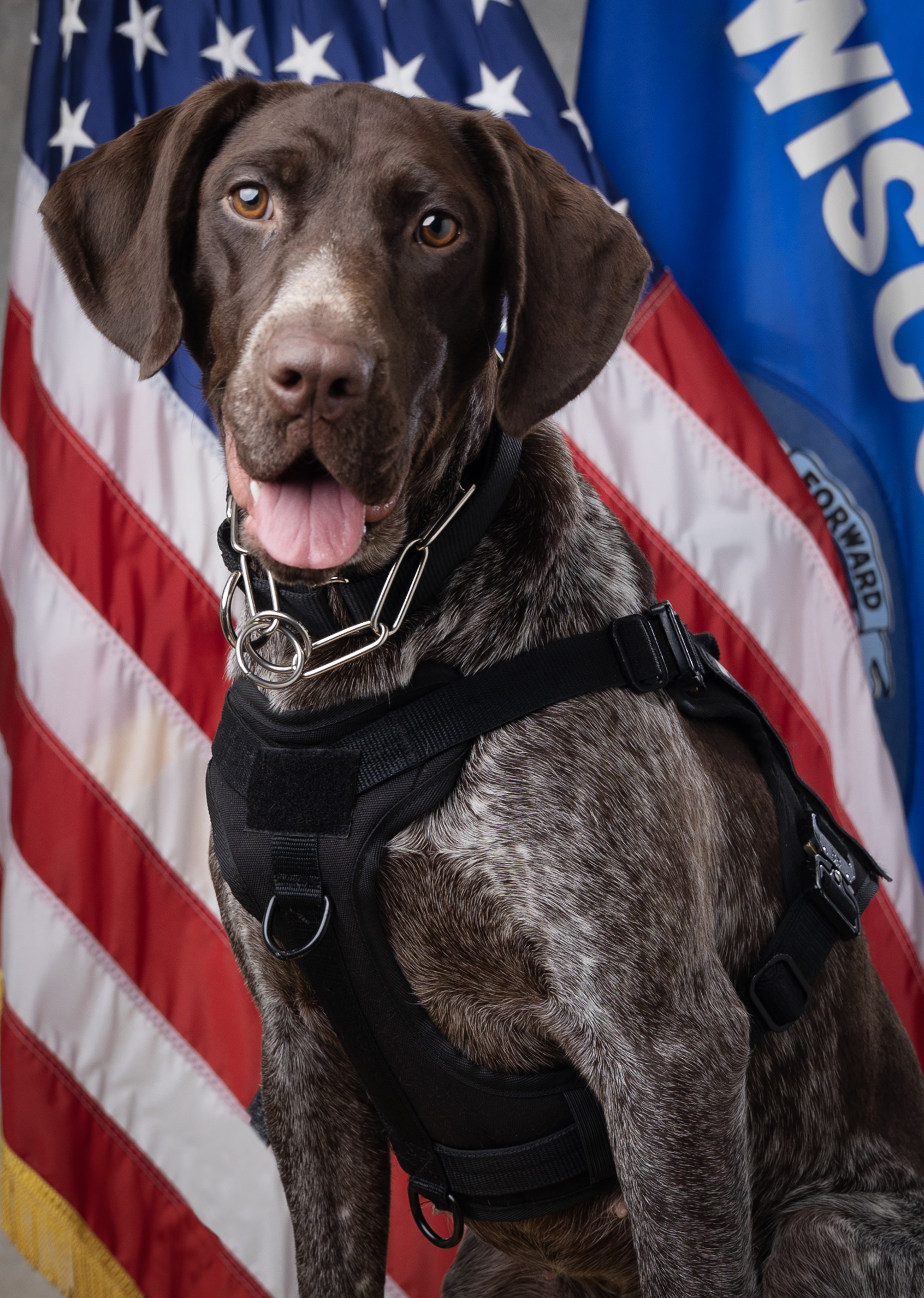 K9 Otter in front of flag